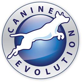 Canine Evolution